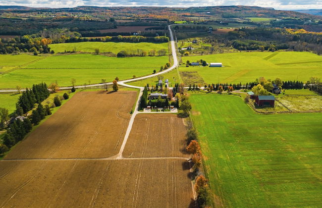 Boho Beaver - Foto 36