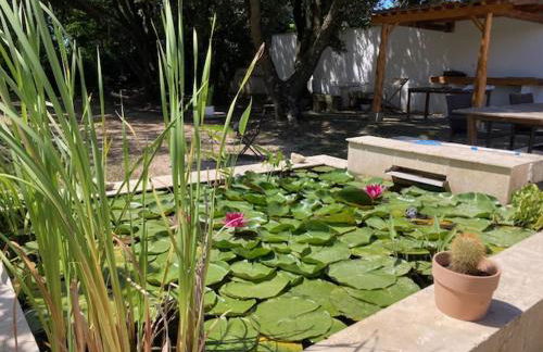 Maison en Provence - Photo 10