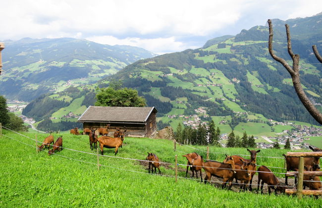 Innergruben - Foto 22