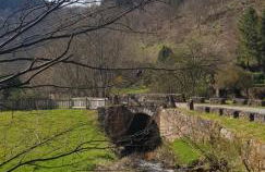 Waldquelle Vital Ferienwohnung - Foto 34