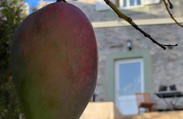 Casa Morena - Private Tropical Oasis - Foto 32