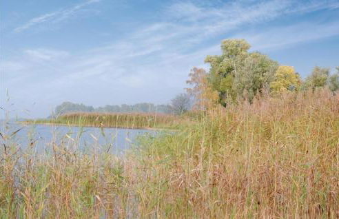 1 Bedroom Gorgeous Apartment In Rechlin - Photo 44