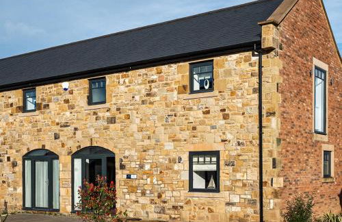 12 Galloway - Ukc8975 - Photo 5