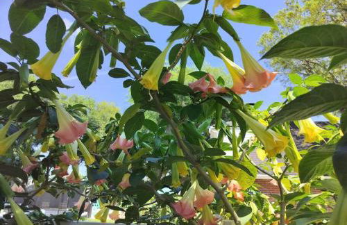 Great place for 6 to Relax - Foto 42