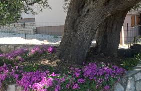 Apartments Krušvina - Foto 69