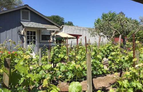 Andrea's Hidden Cottage - Foto 16