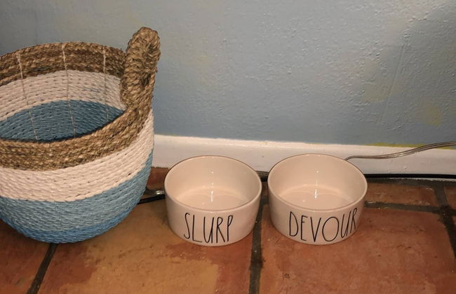 New Smyrna Beach Townhouse/flagler Ave/beach/walk Everywhere and Pet Friendly! - Foto 58