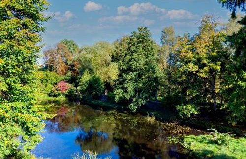 Gartenhaus am Schwanenteich - Foto 19