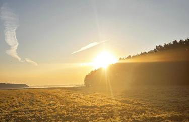 Ferienhaus Diana mit Sauna und Whirlpool Polnische Ostsee - Photo 53