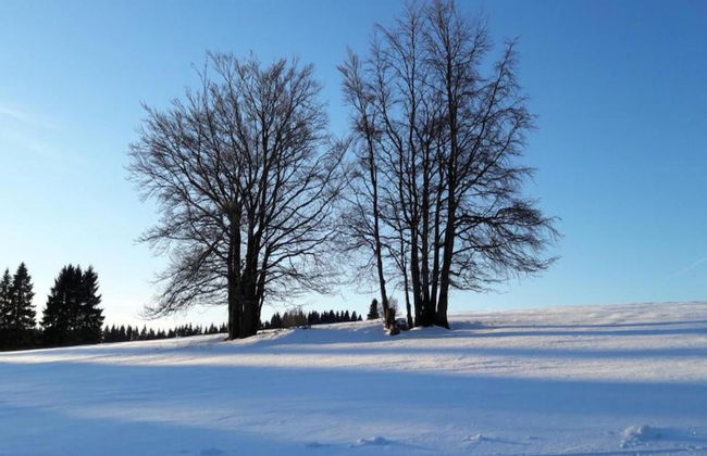 Small and Cozy Apartment in Frauenwald near Forest - Foto 38