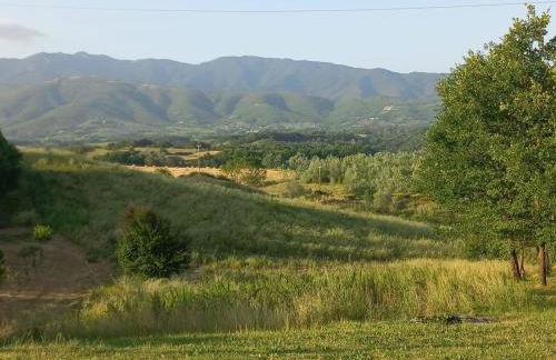 Agriturismo a casa di Toni - Photo 7