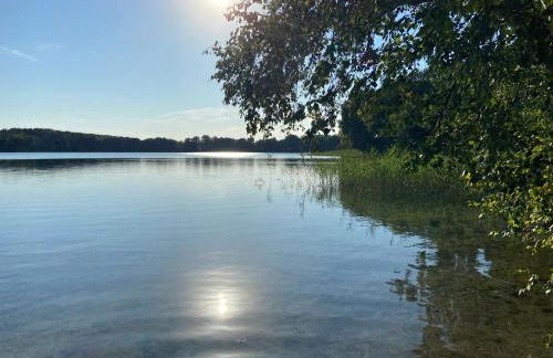 Kranichblick - Foto 12