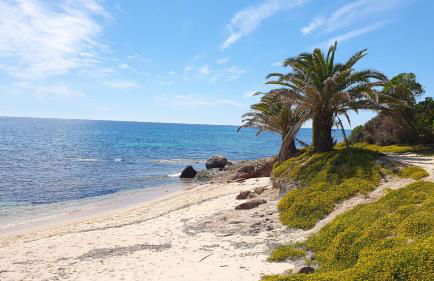 Agriturismo Corte Degli Ulivi - Foto 94