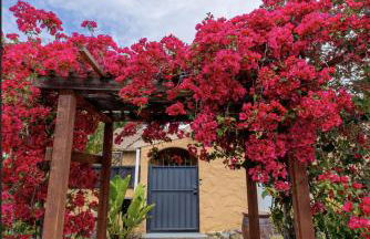 Minimalist Luxury Home With Botanic Garden - Foto 3