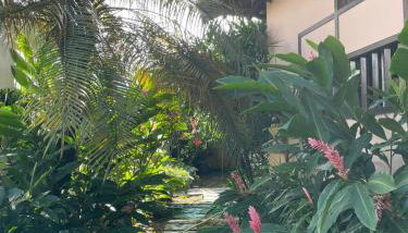 Nostra Casa - Foto 4, Garden, Garden view