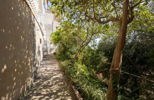 Casa Vittorina - De Vivo Realty Positano - Photo 55