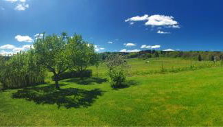 Waldhaus-Vulkaneifel - Foto 5, Garden view