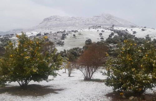 Cortijo, Grazalema, piscina, 5 Hbts con baño, AC, - Foto 11