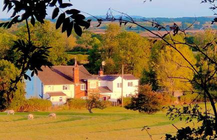 Fern Cottage - Foto 19