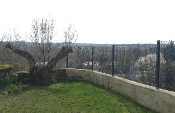 La troglo aux oiseaux - Foto 5