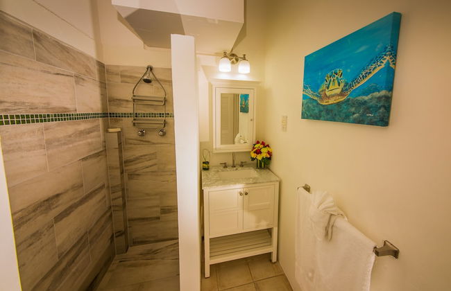 Oasis Marigot Hotel & Villas - Foto 11