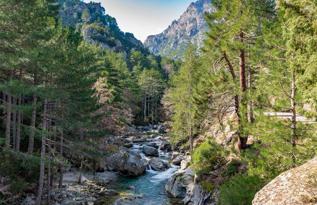 1 bedroom Apartment in Corte - Photo 24