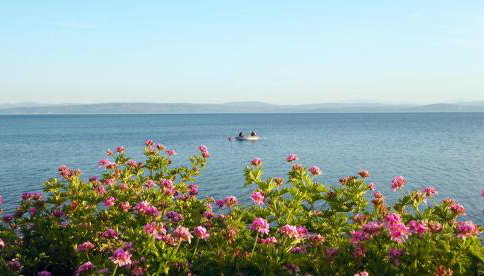 SeaSide Porto Hronia - Photo 5