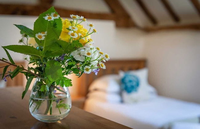 The Dinney Holiday Cottages - Foto 8