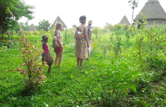 Refuge du Mont Agou - Photo 45