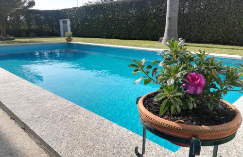 Casa do Sol - Entre o Mar e o Pinhal - Foto 4