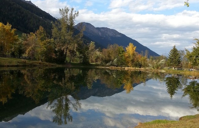 Appartments Zinner-Pale - Foto 49