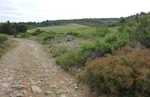 Maison à Narbonne plage proche mer et clape - Foto 20
