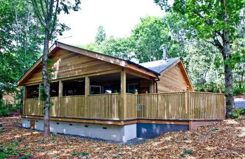 Cedar Lodge, South View Lodges, Exeter - Foto 35