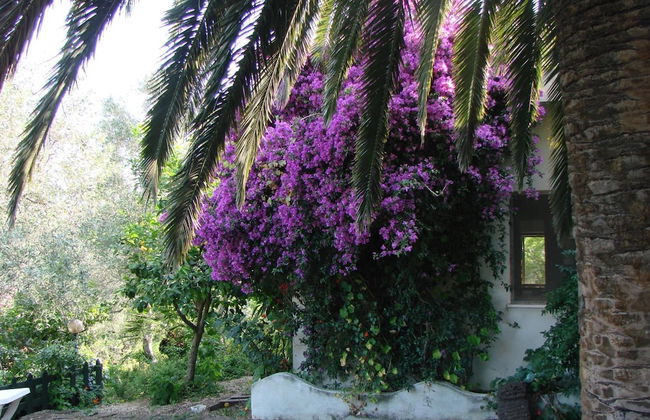 Agriturismo Su Tiresi - Foto 44