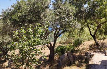 Coralina Cottage - Foto 79