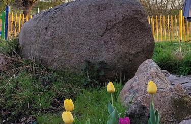 Märchenhaft urlauben auf dem Alpakahof - Foto 14