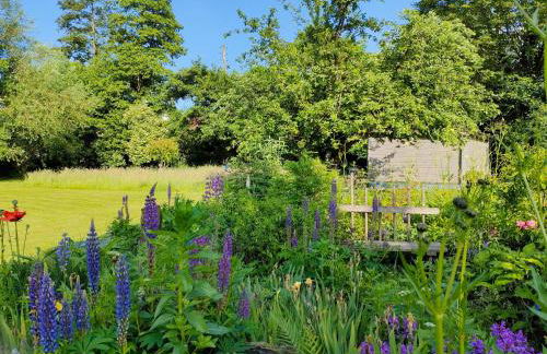Wind in den Weiden, Übernachten am Bachlauf - Foto 14