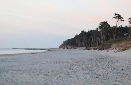 Prezydencki Apartamenty z widokiem na morze - Foto 71