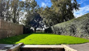 Maison cosy proche Cancale et Mont-Saint-Michel - Foto 4, Garden