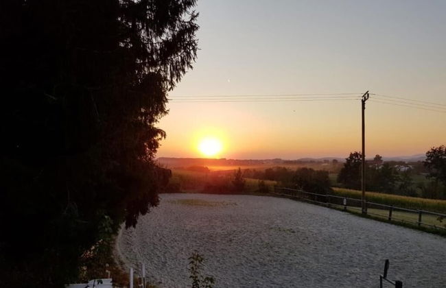 Ferienhof Löw - Photo 28