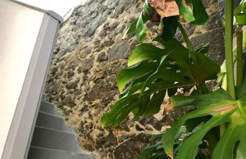 CASA ISABEL CENTRO Histórico - Foto 36