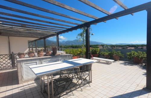 Michelangelo rta - Foto 16