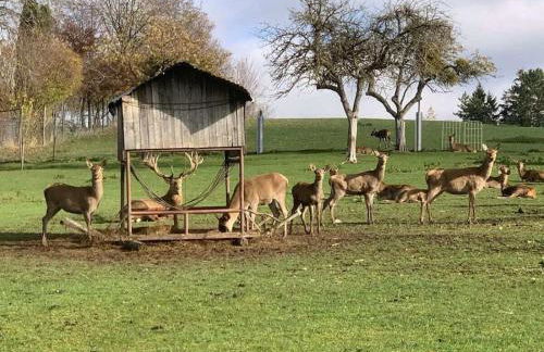 Holiday apartment with 2 bedrooms - Foto 19