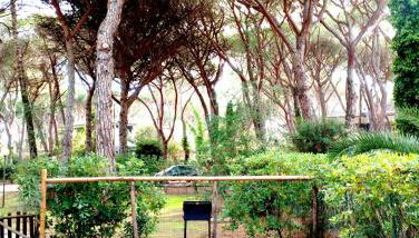 Casa Ricciola - Foto 3, Garden