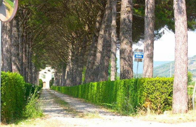 Villa La Contessa - Villa La Contessa - Photo 21