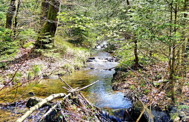 Relaxing Chalet in Dochamps With Swimming Pool and Terrace - Foto 25