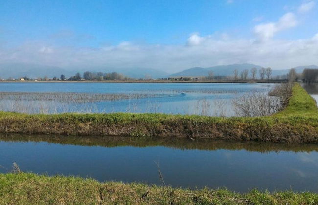 Modern Apartment in Agliana With Shared Garden - Foto 43