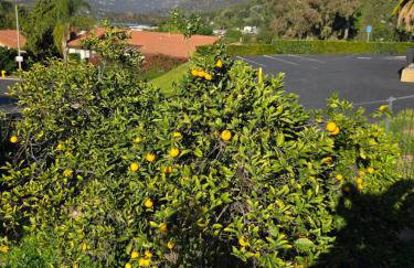 Mountains Views with Pool & Basketball, Relax & Play! - Foto 67