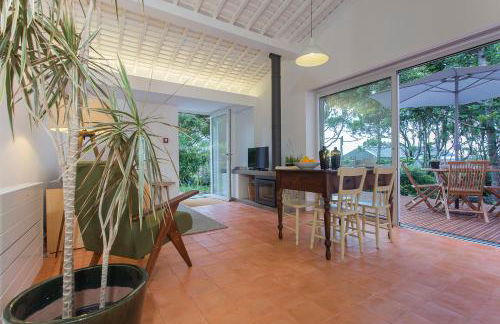 Quinta dos Peixes Falantes - Photo 24