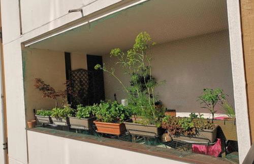 Large studio with terrace for up to 4 people - Foto 16